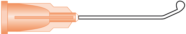 Cortex Extractor (Welsh)
